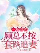 一胎双喜:顾总不按套路追妻